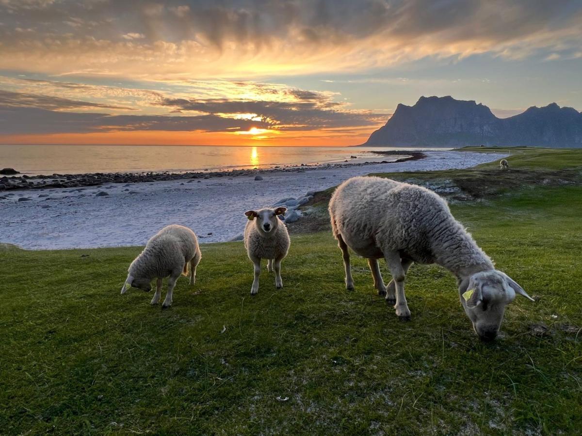 Real Fisherman'S Cabins In Ballstad, Lofoten Eksteriør billede
