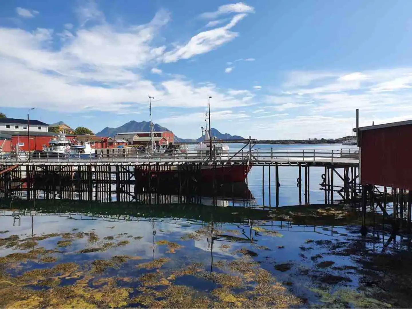 Real Fisherman'S Cabins In Ballstad, Lofoten Eksteriør billede